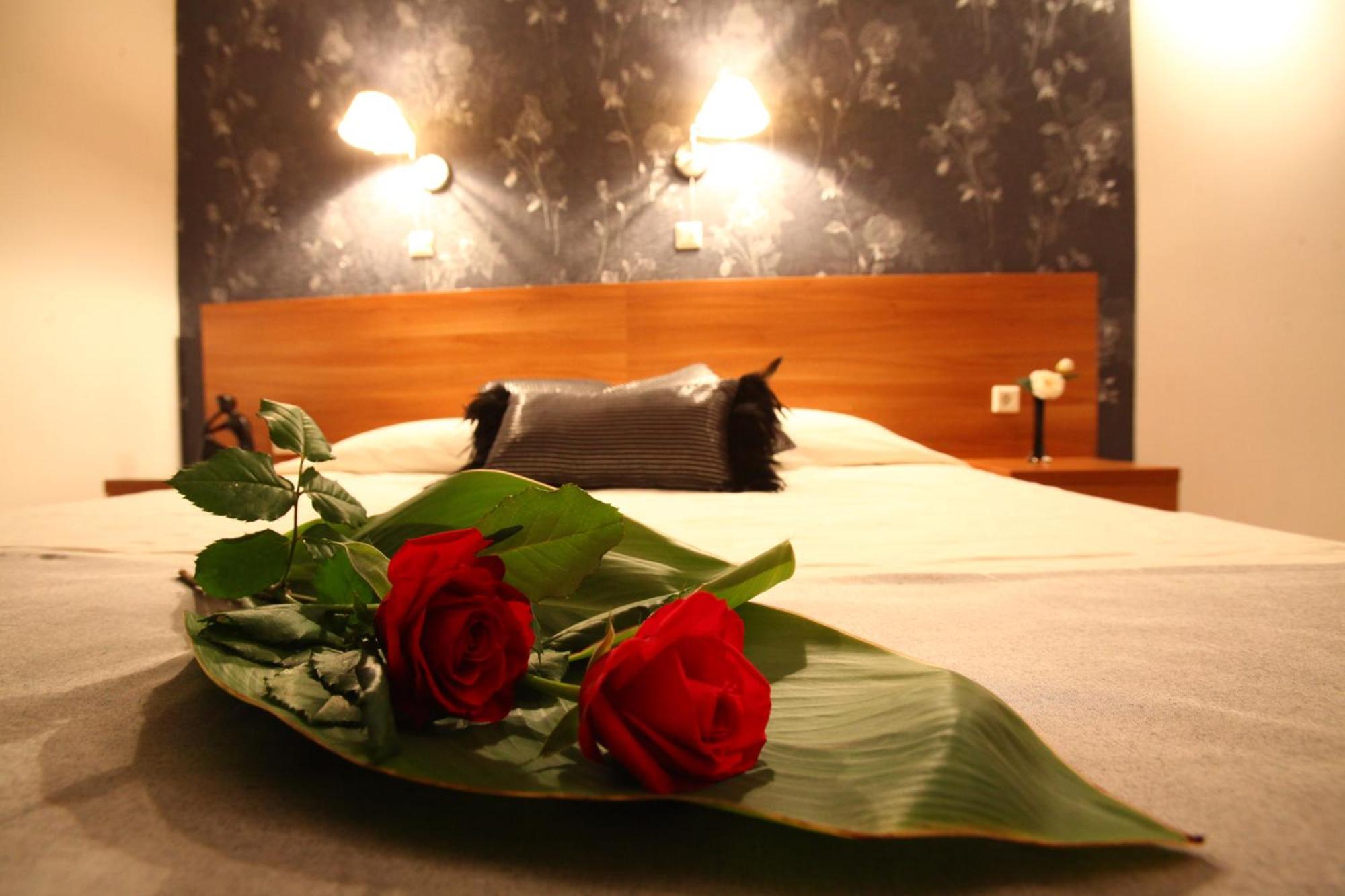 Nikos House Aparthotel Nikiti  Room photo
